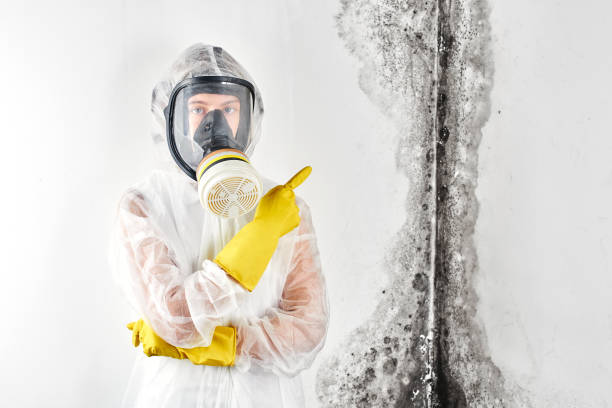 Mold Remediation for Rental Properties in Hebron, OH